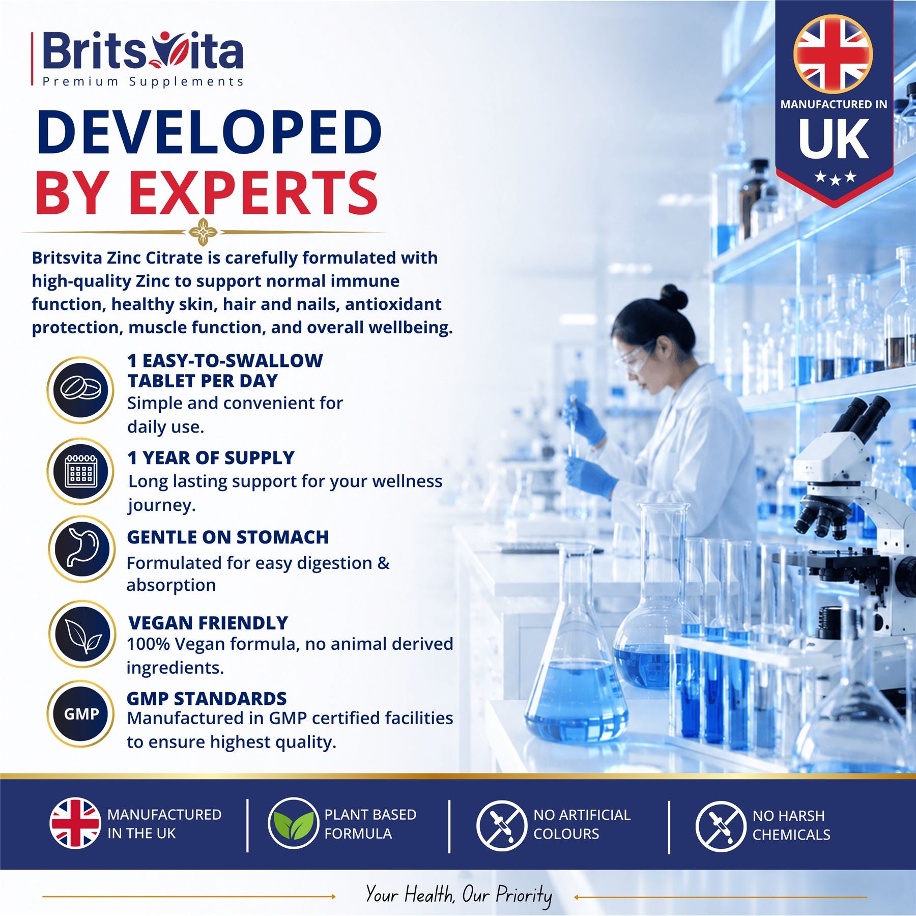 Brits Vita Zinc Citrate 500mg 365 Tablets Max Strength Immune Function Vegan UK